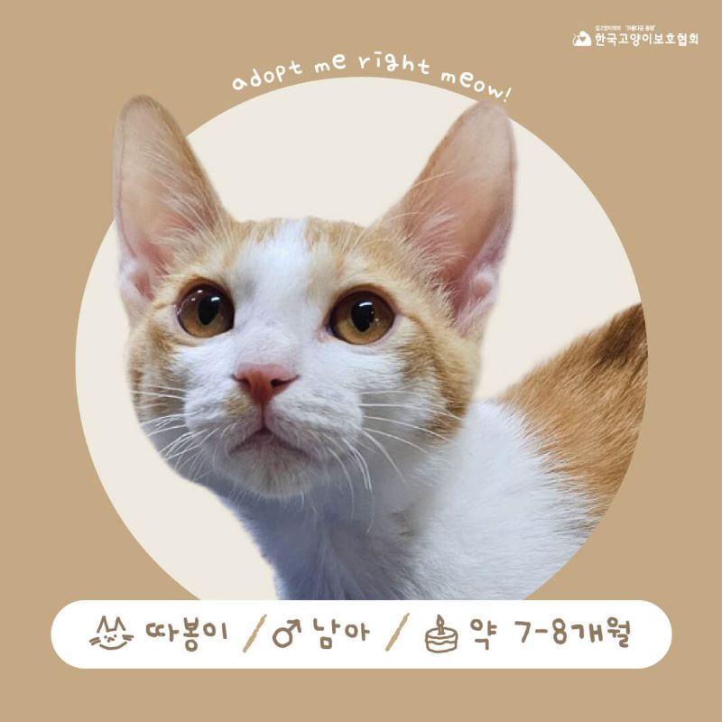 따봉입홍1.jpg
