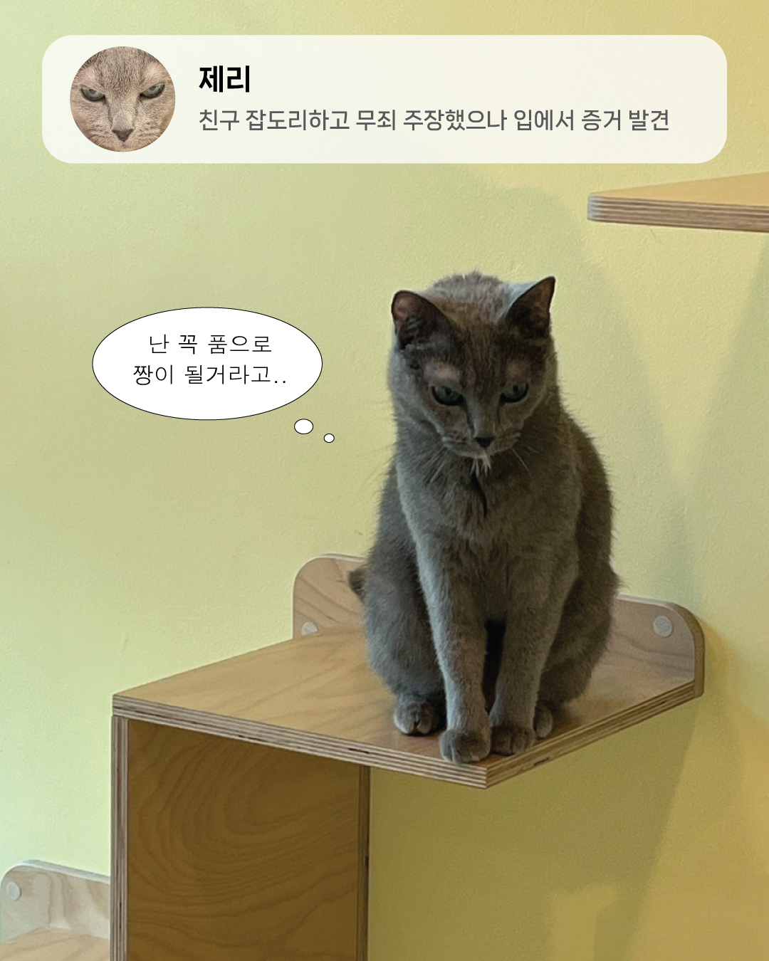 7월냥7.jpg