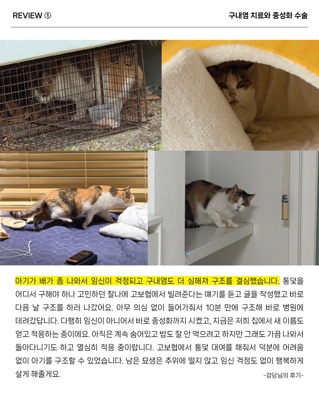 통덫후기3.jpg