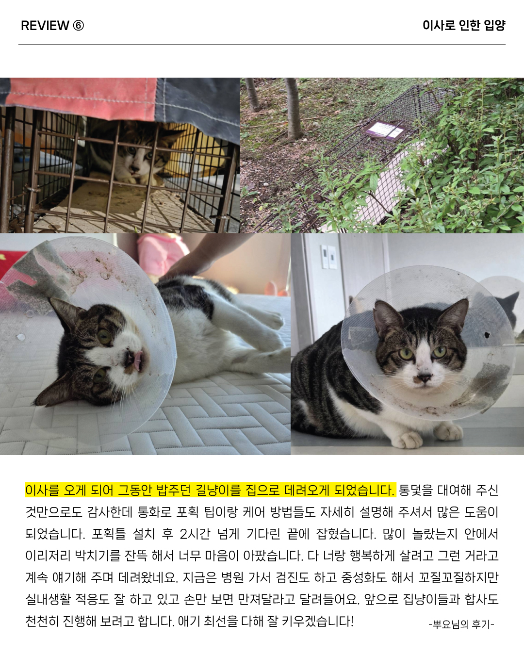 통덫후기8.jpg