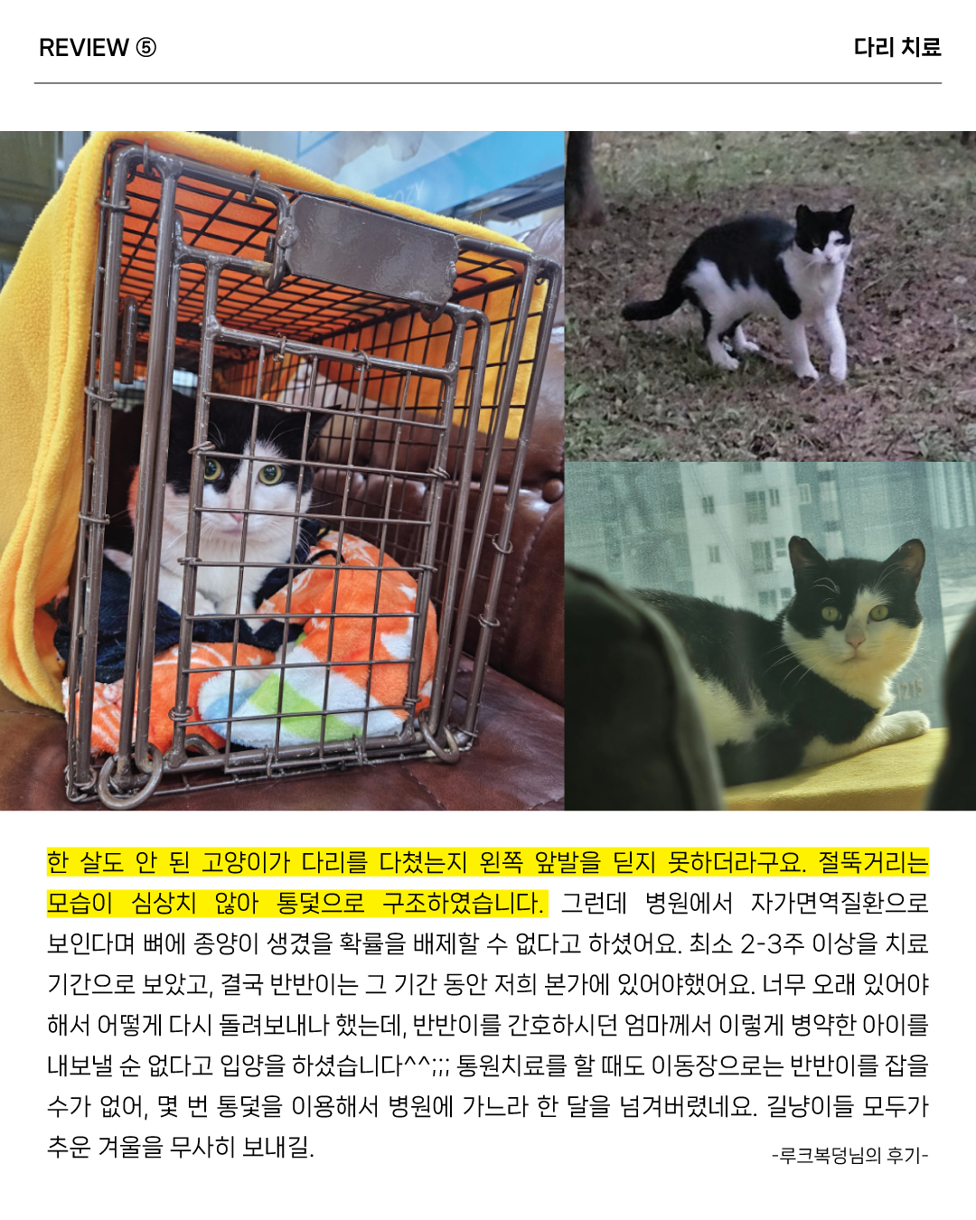 통덫후기7.jpg