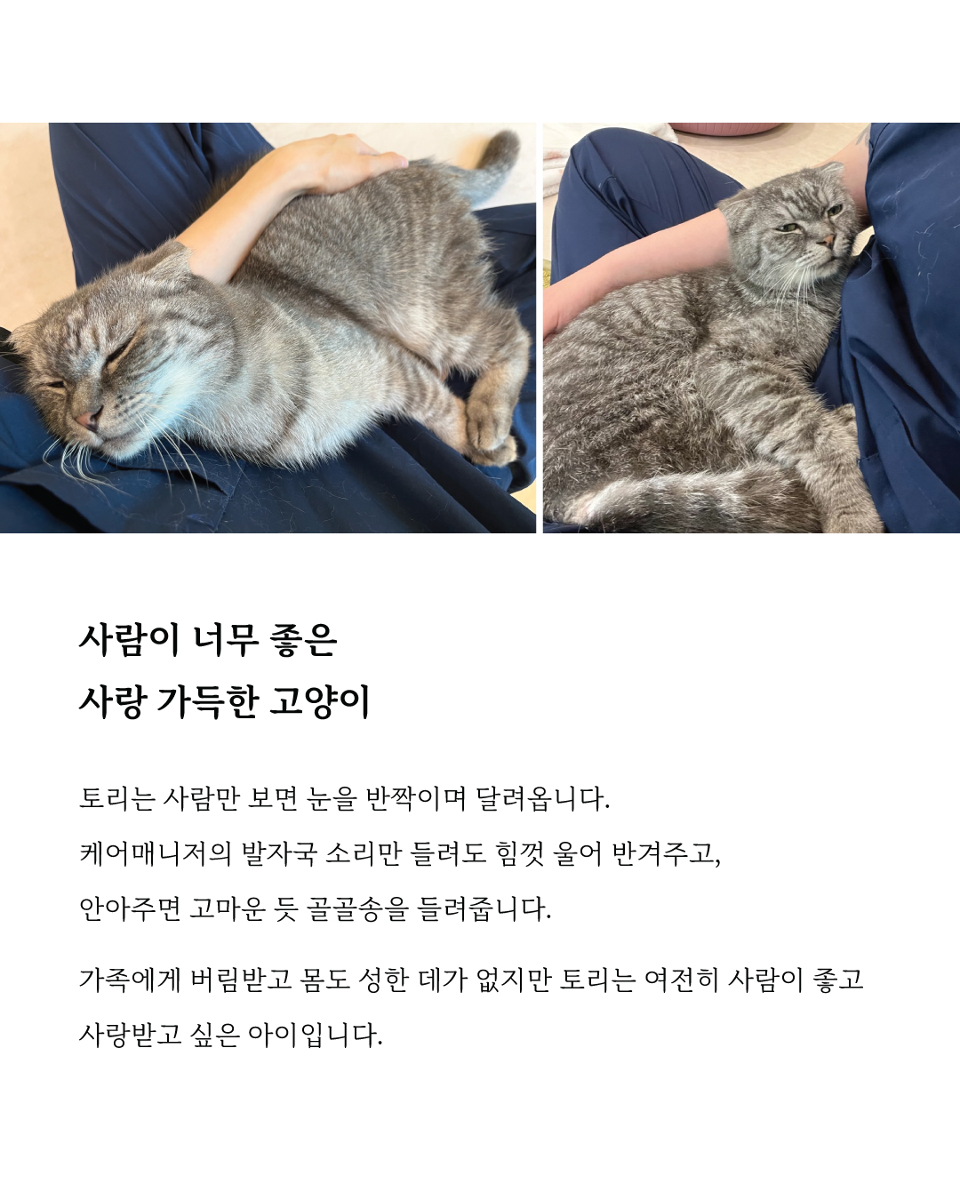 토리7.jpg