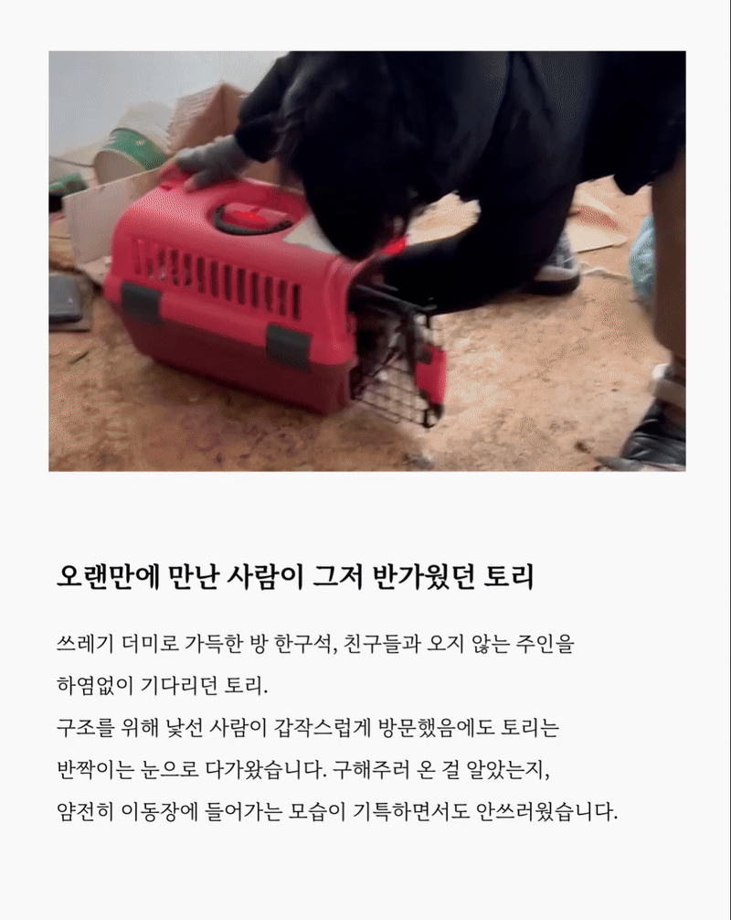 토리2_저용량.gif