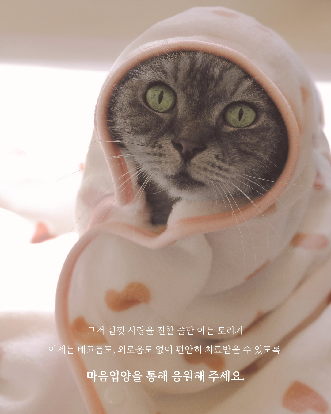 토리9.jpg