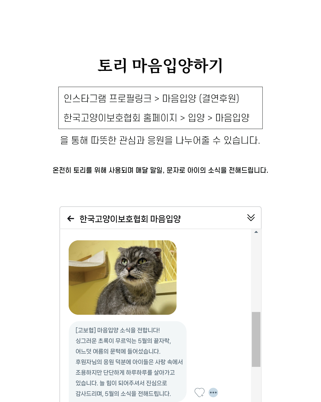 토리10.jpg