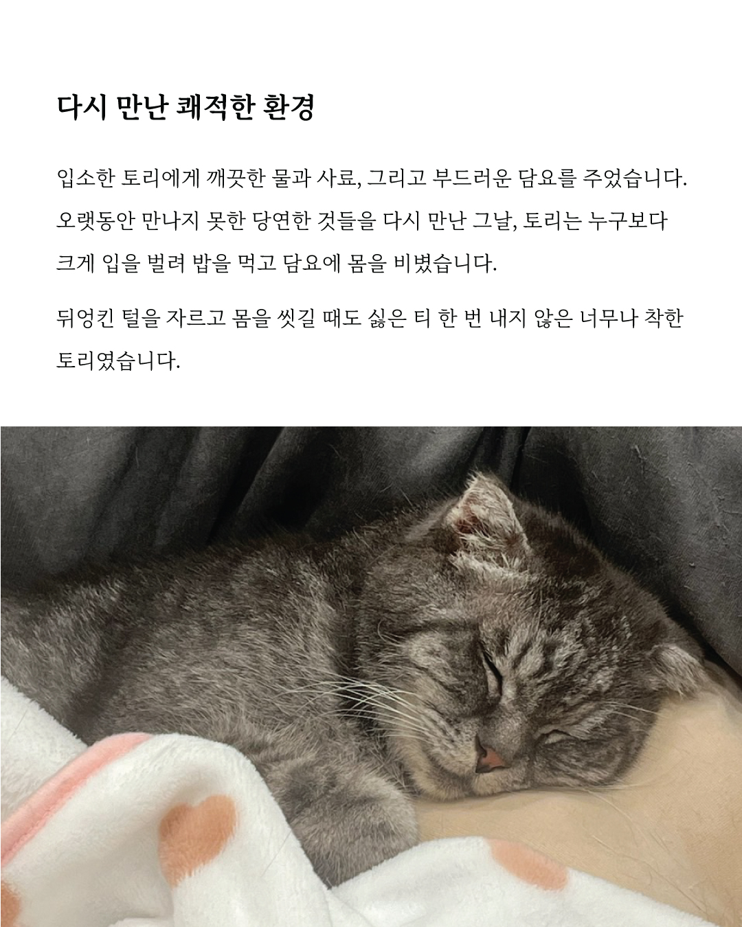 토리4.jpg