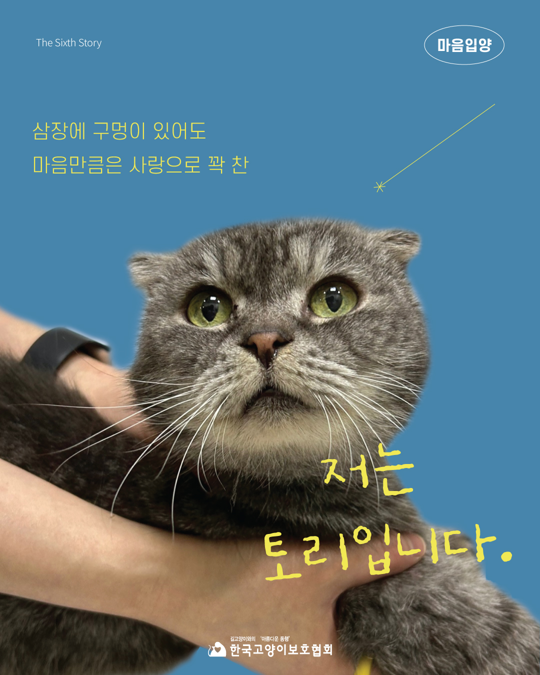 토리1.jpg