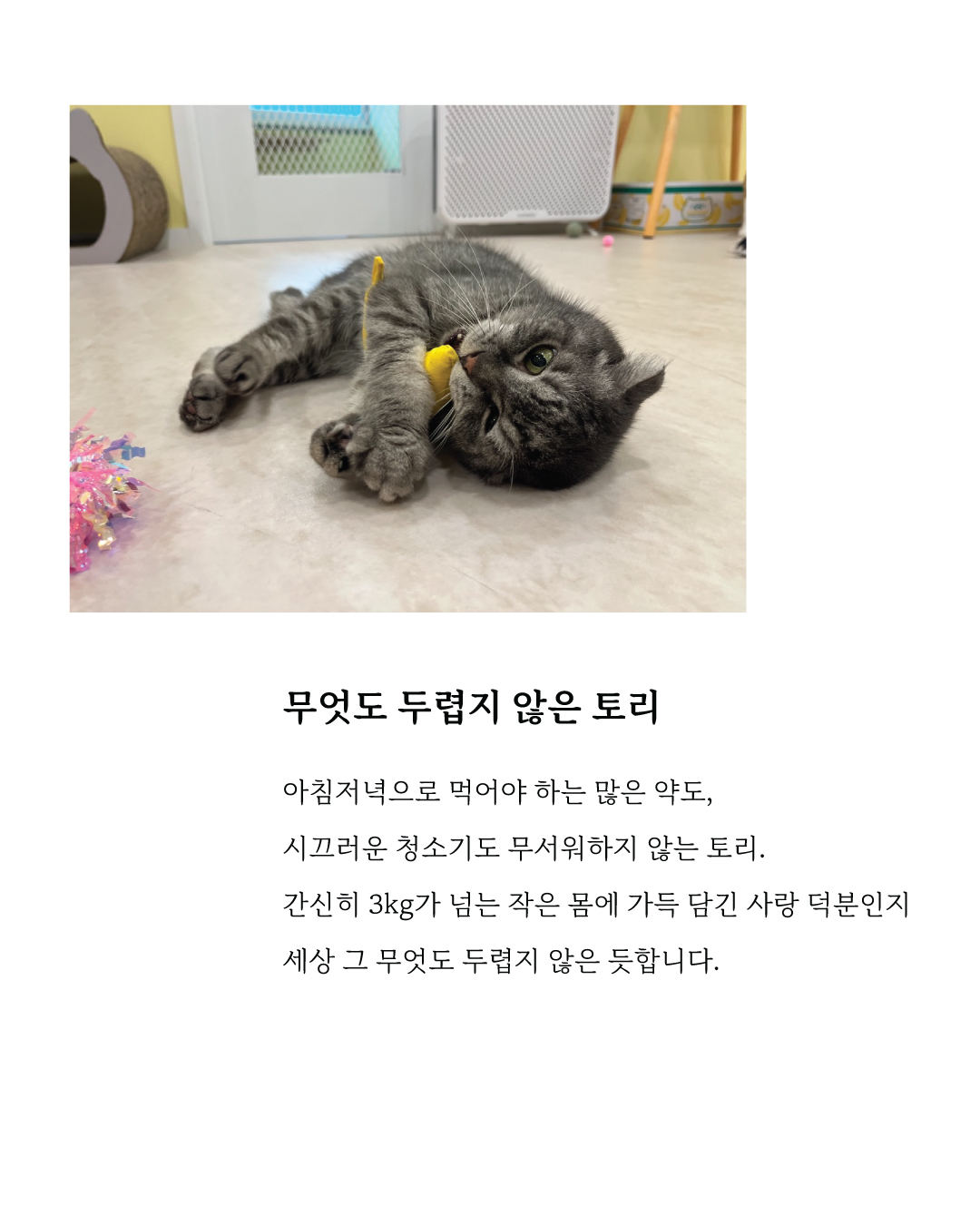 토리8.jpg