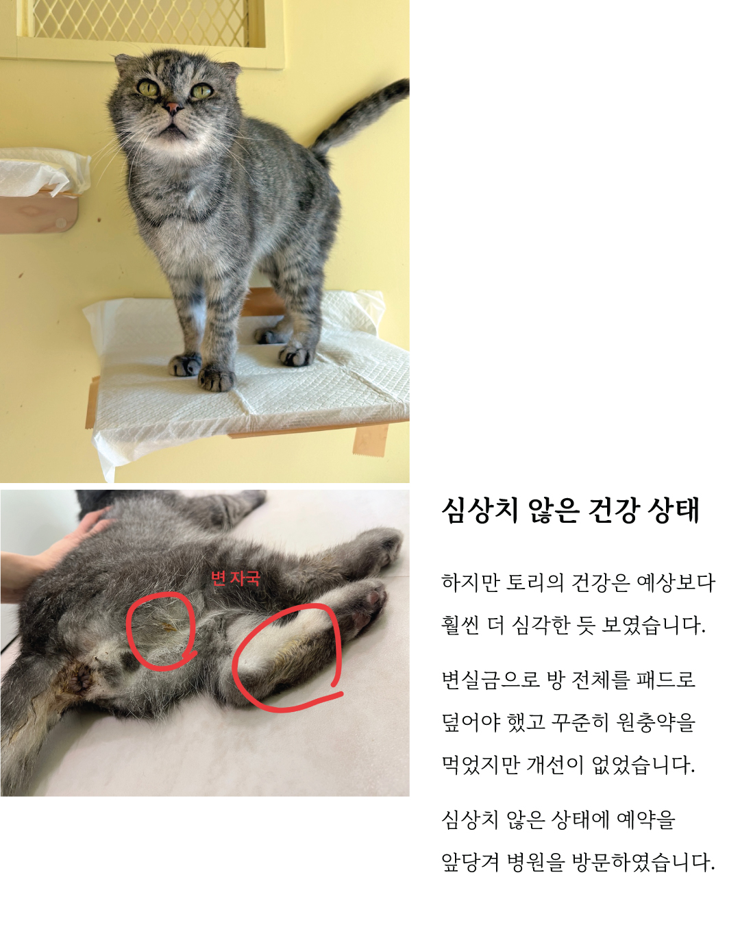 토리5.jpg