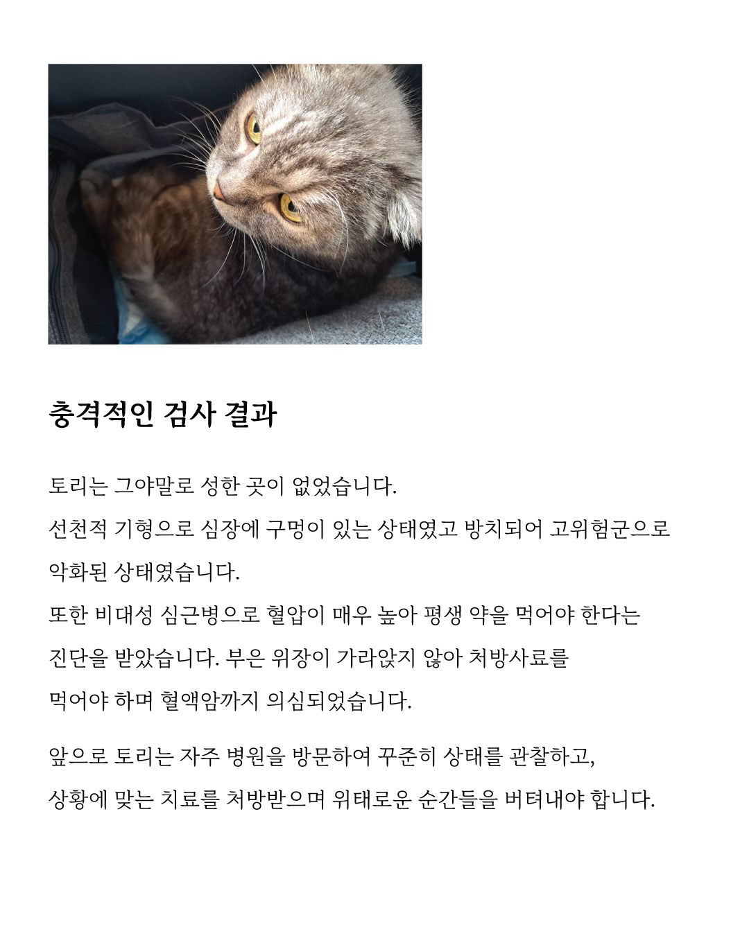 토리6.jpg