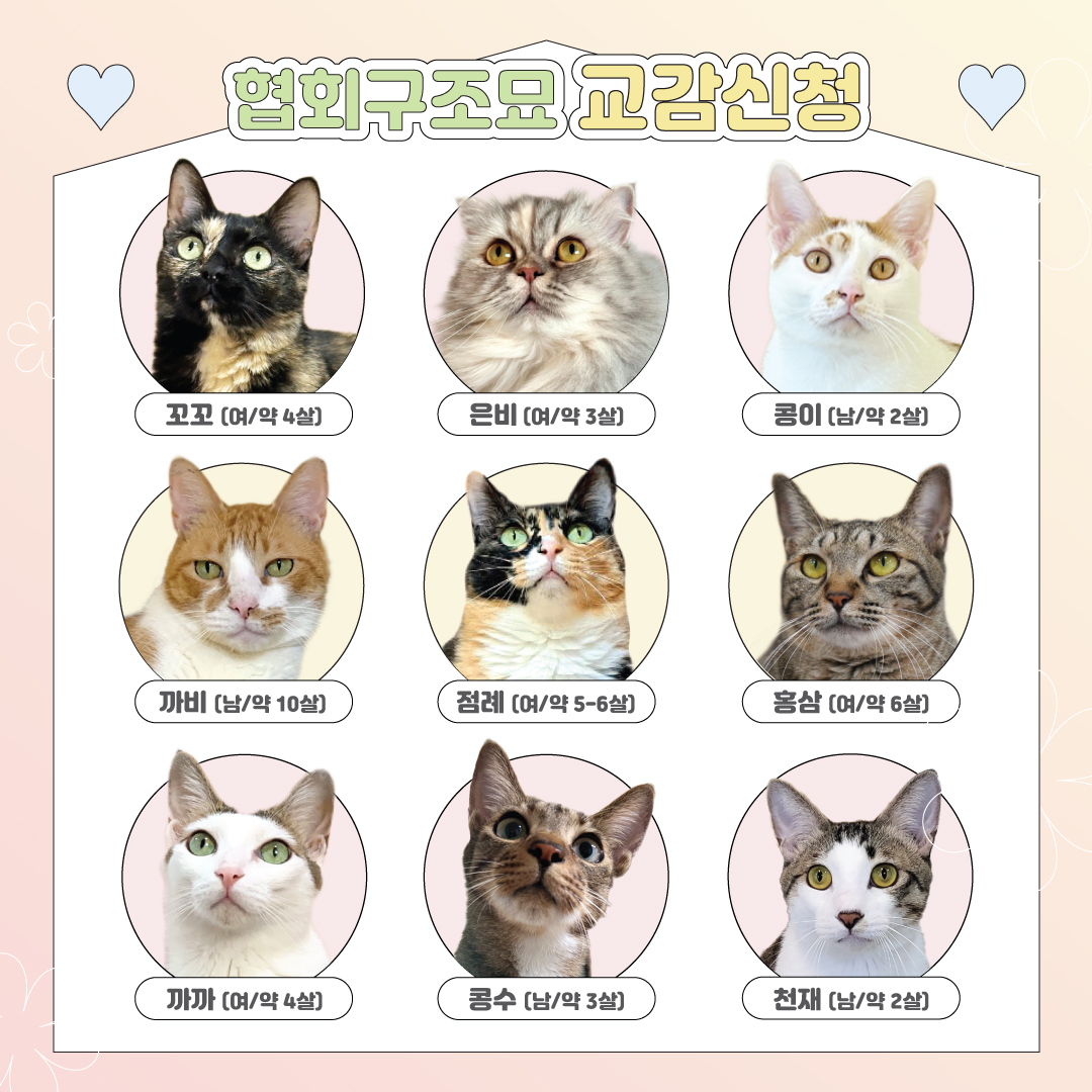 교감하기2.jpg