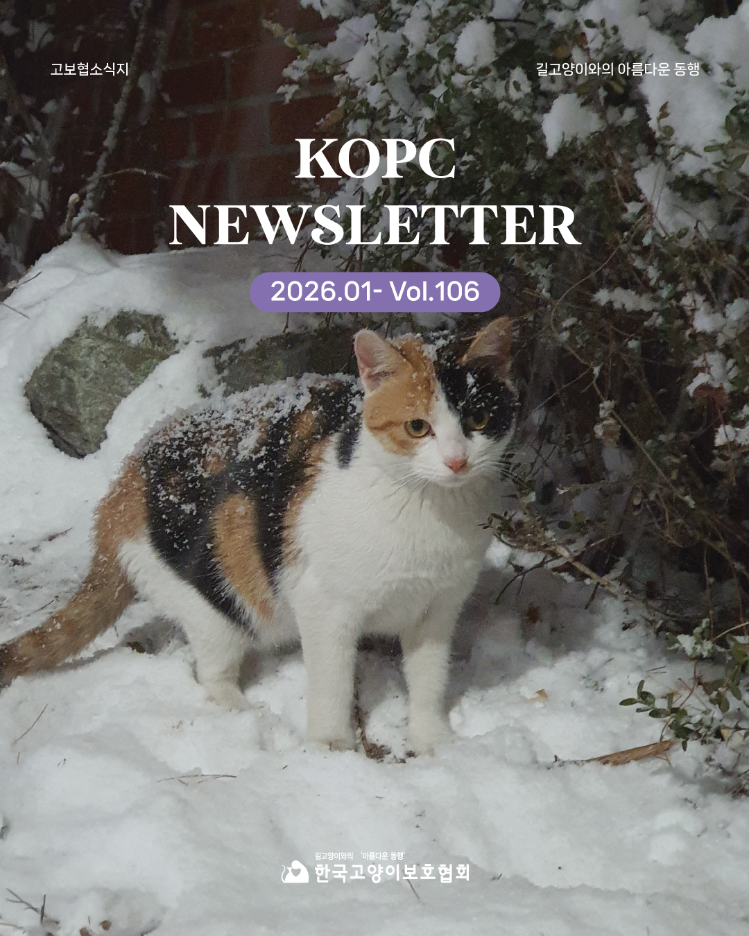 1월뉴스레터1.jpg