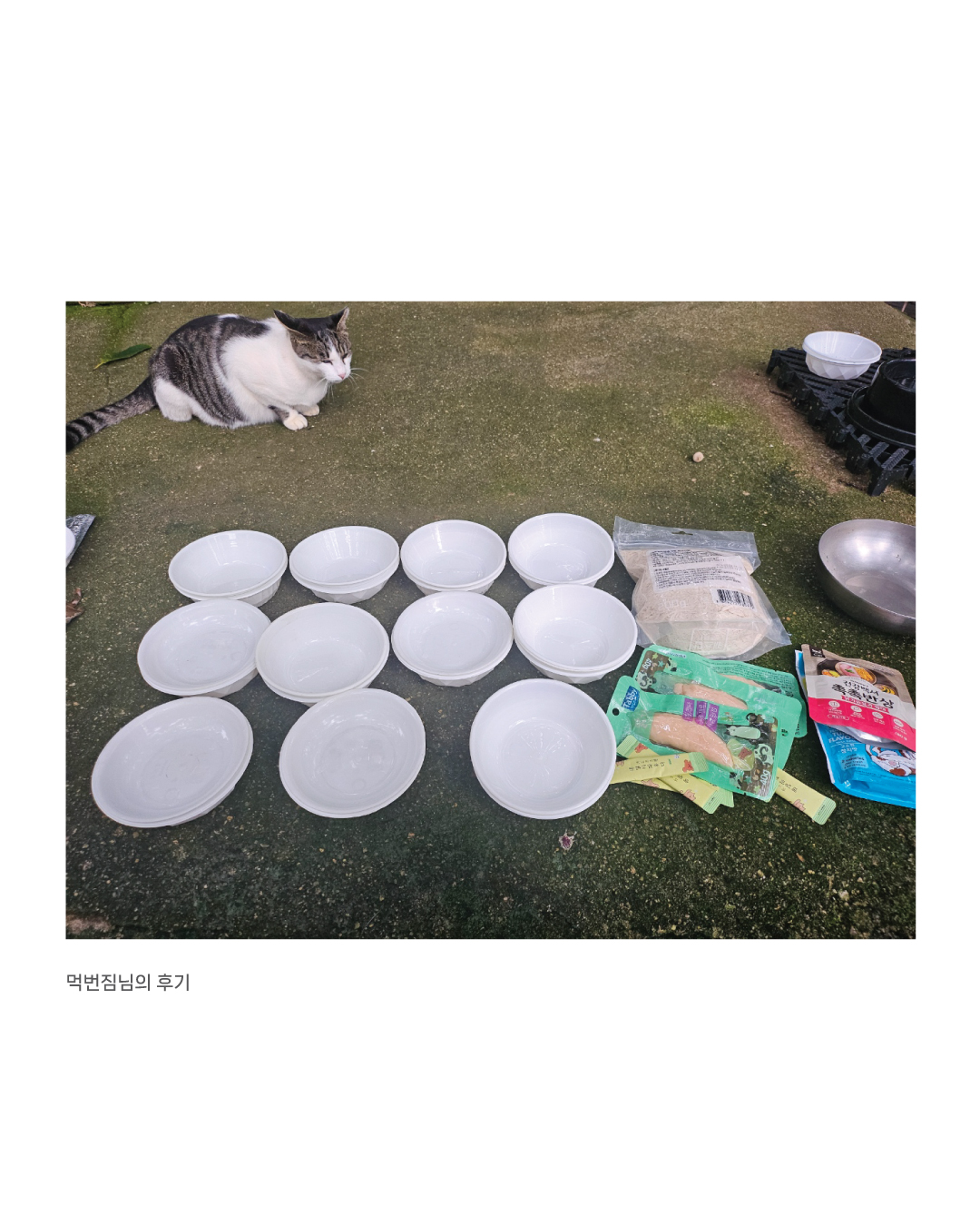입맛회복8.jpg