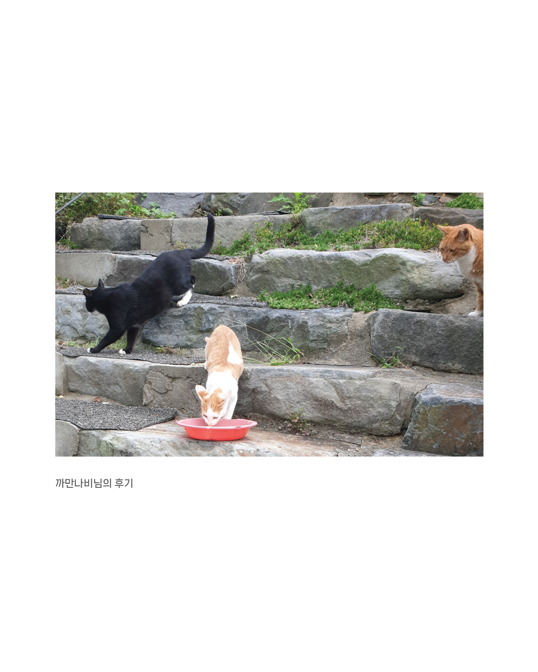 입맛회복5.jpg