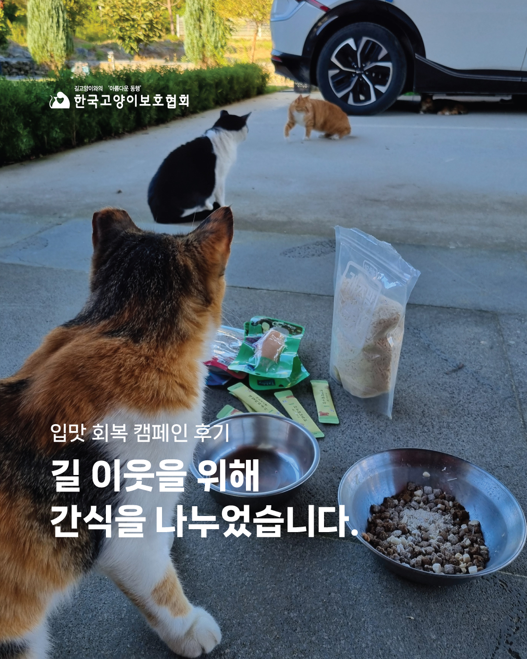 입맛회복1.jpg