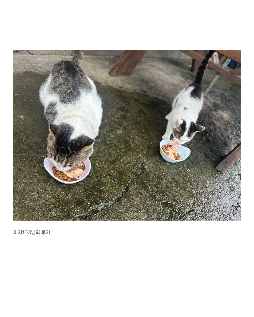 입맛회복3.jpg