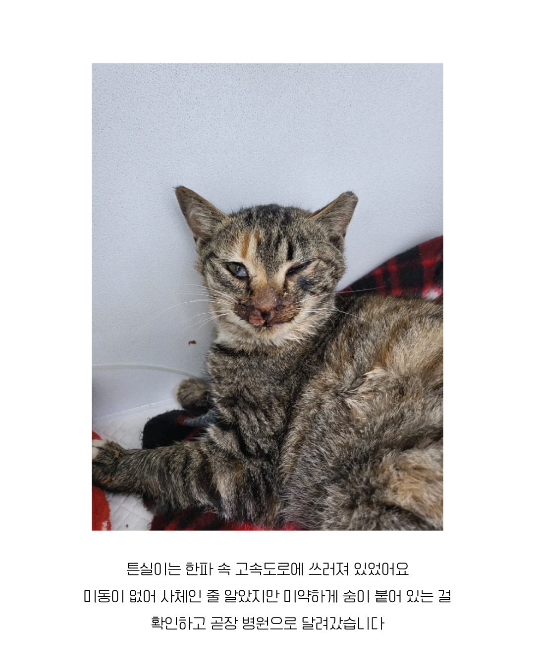 튼실이3.jpg