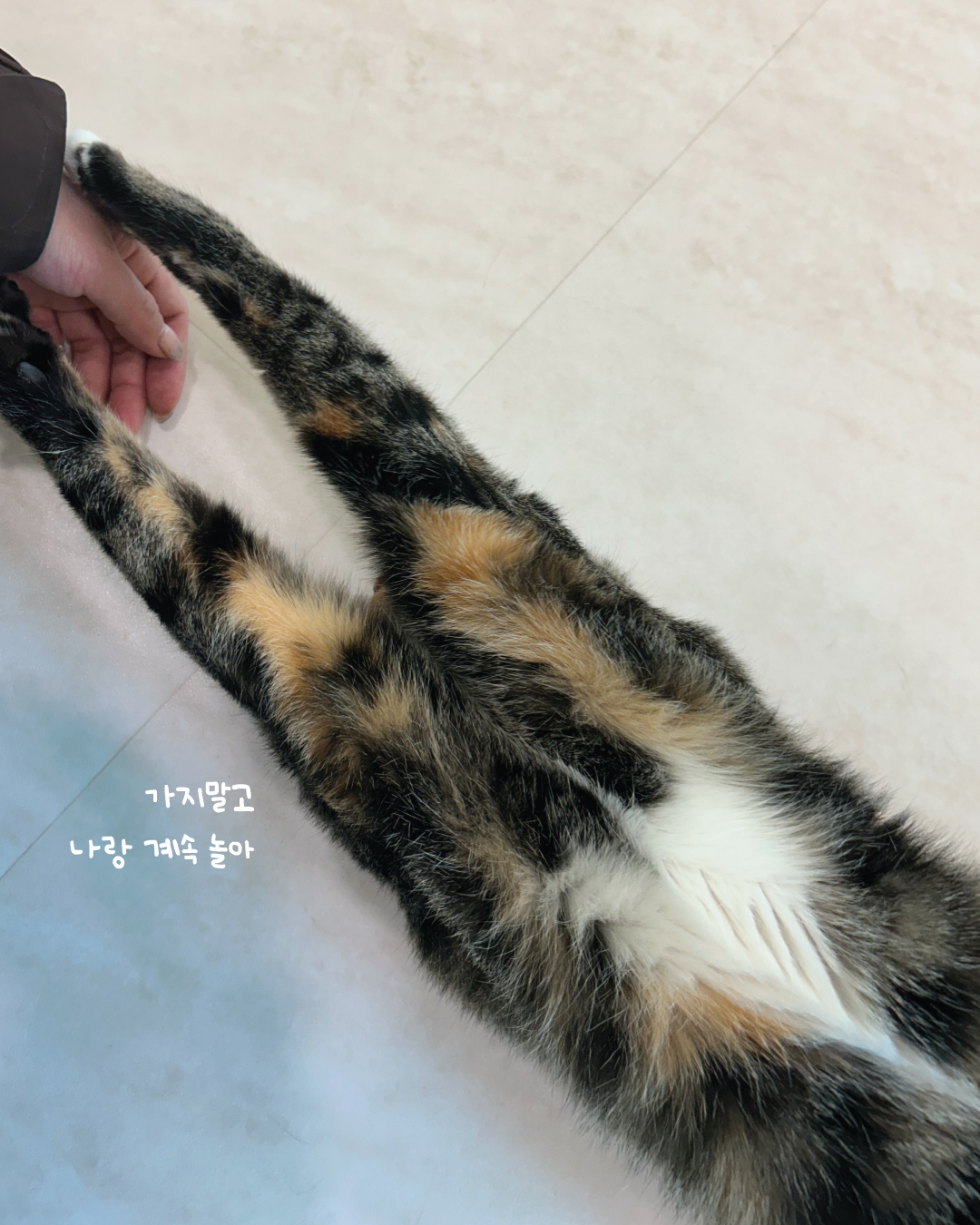 튼실이8.jpg