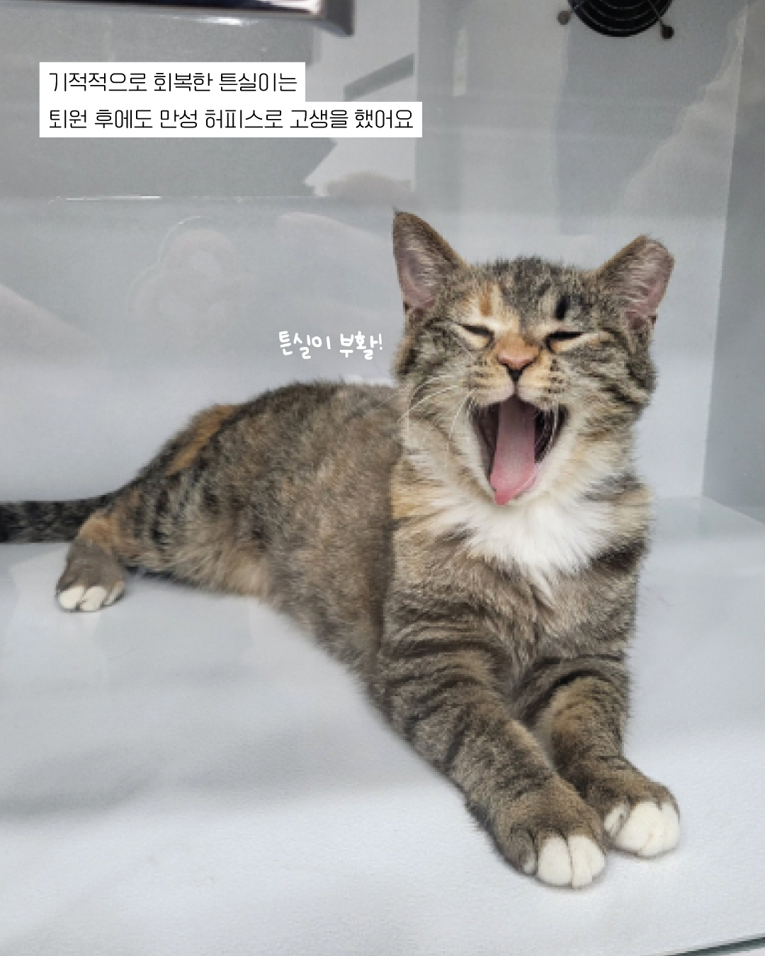 튼실이4.jpg