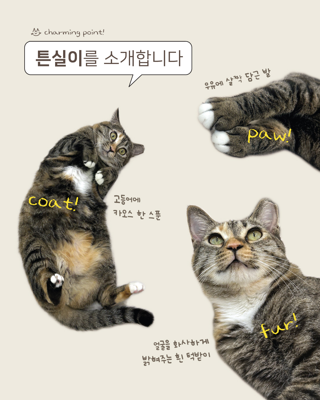 튼실이2.jpg