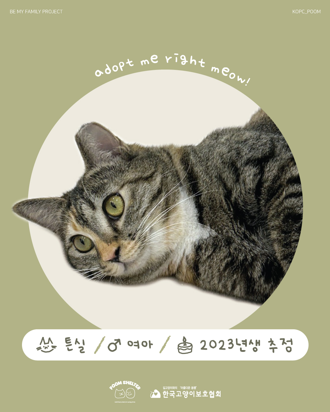 튼실이1.jpg