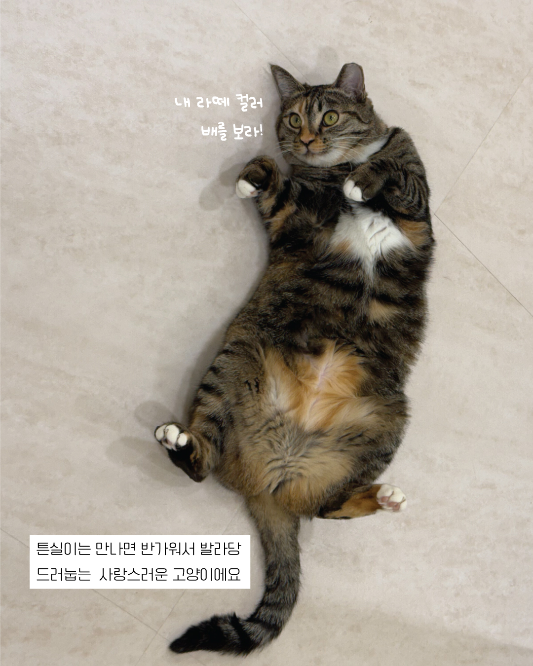 튼실이6.jpg