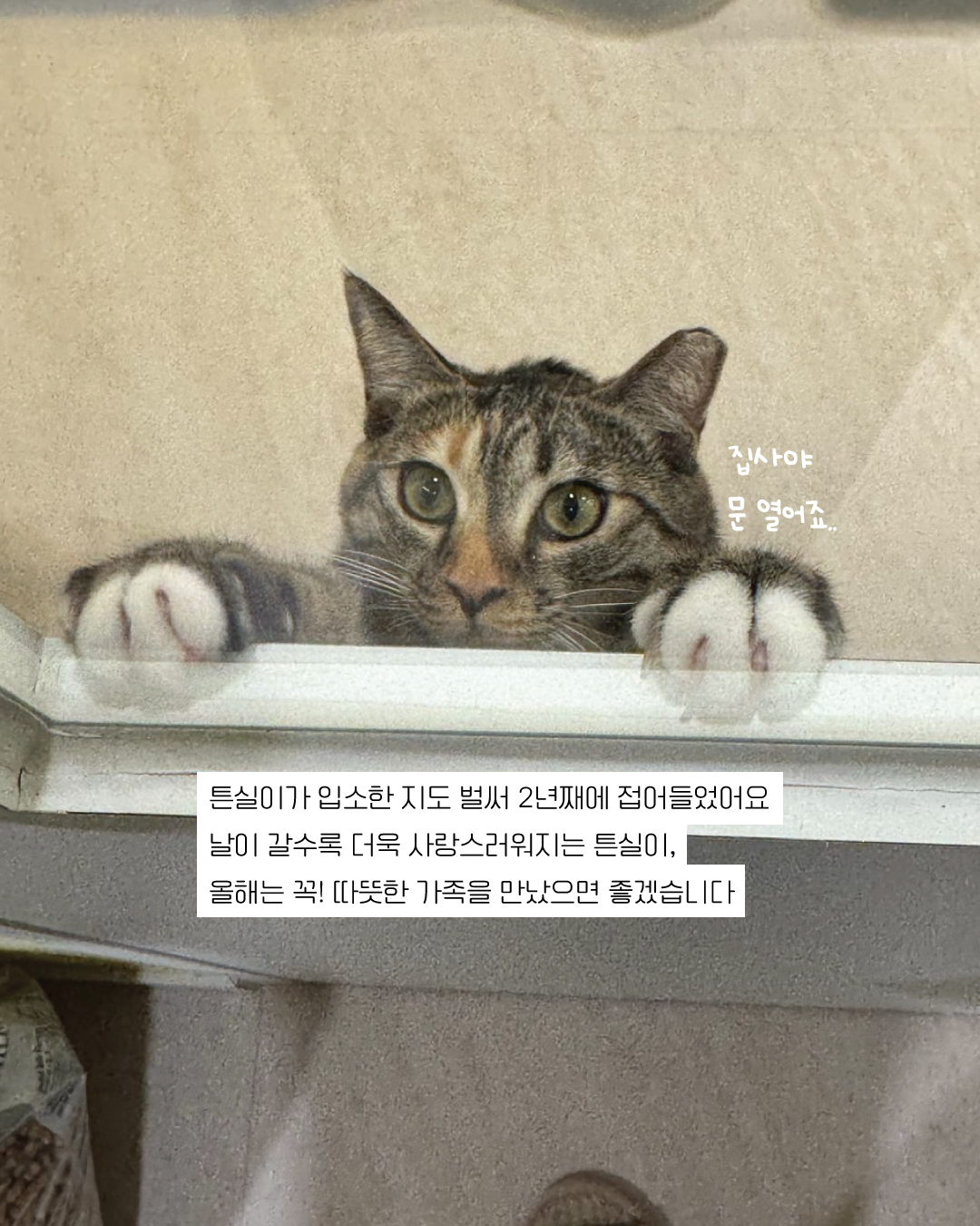 튼실이12.jpg
