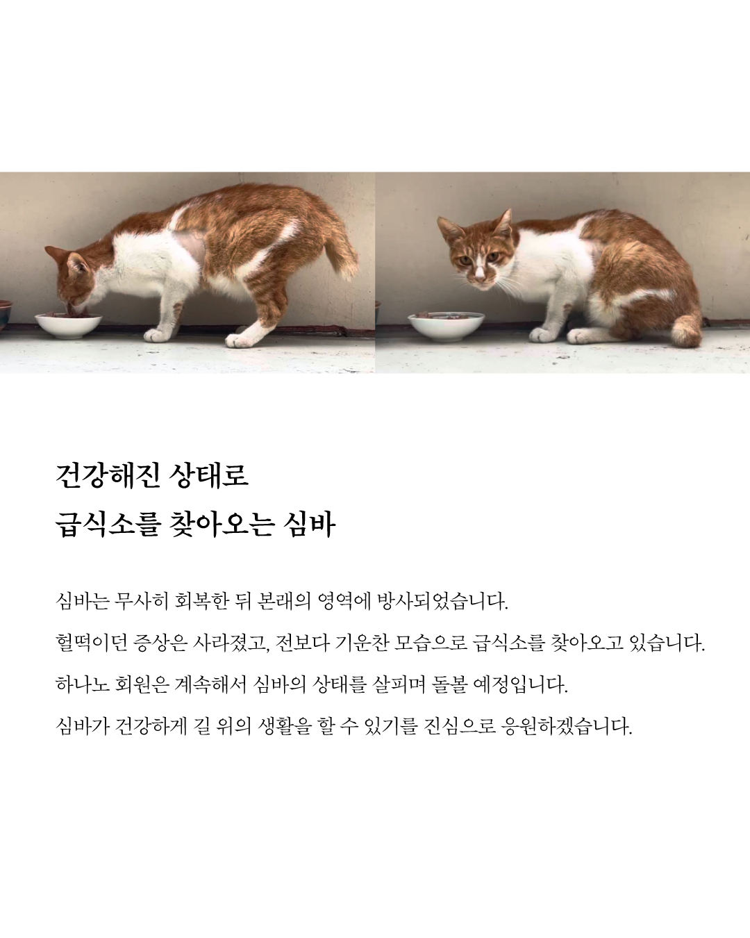 심바5.jpg