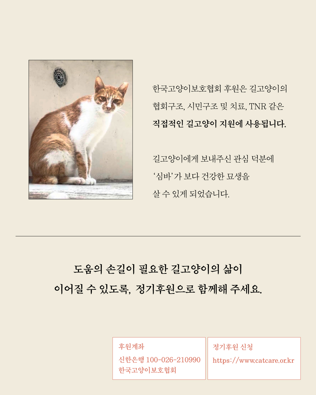 심바7.jpg
