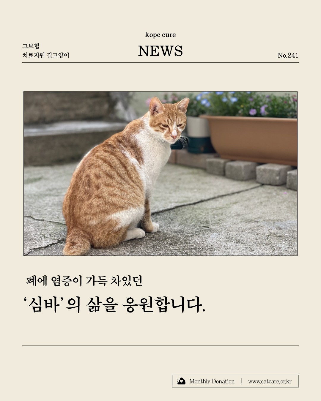 심바1.jpg