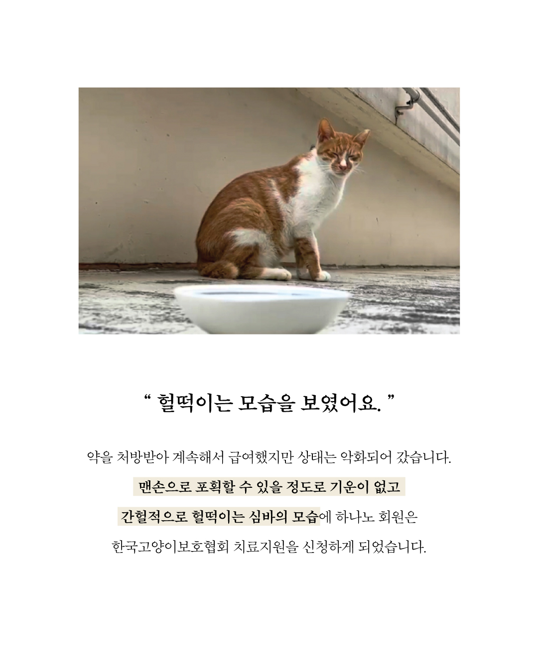 심바3.jpg