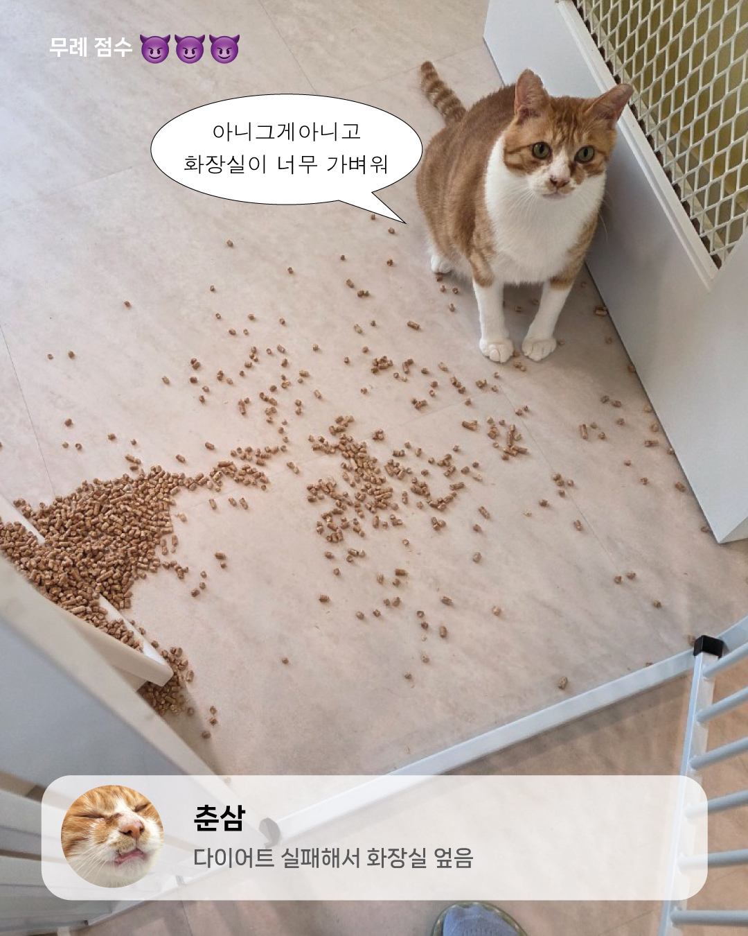 11월친절무례7.jpg