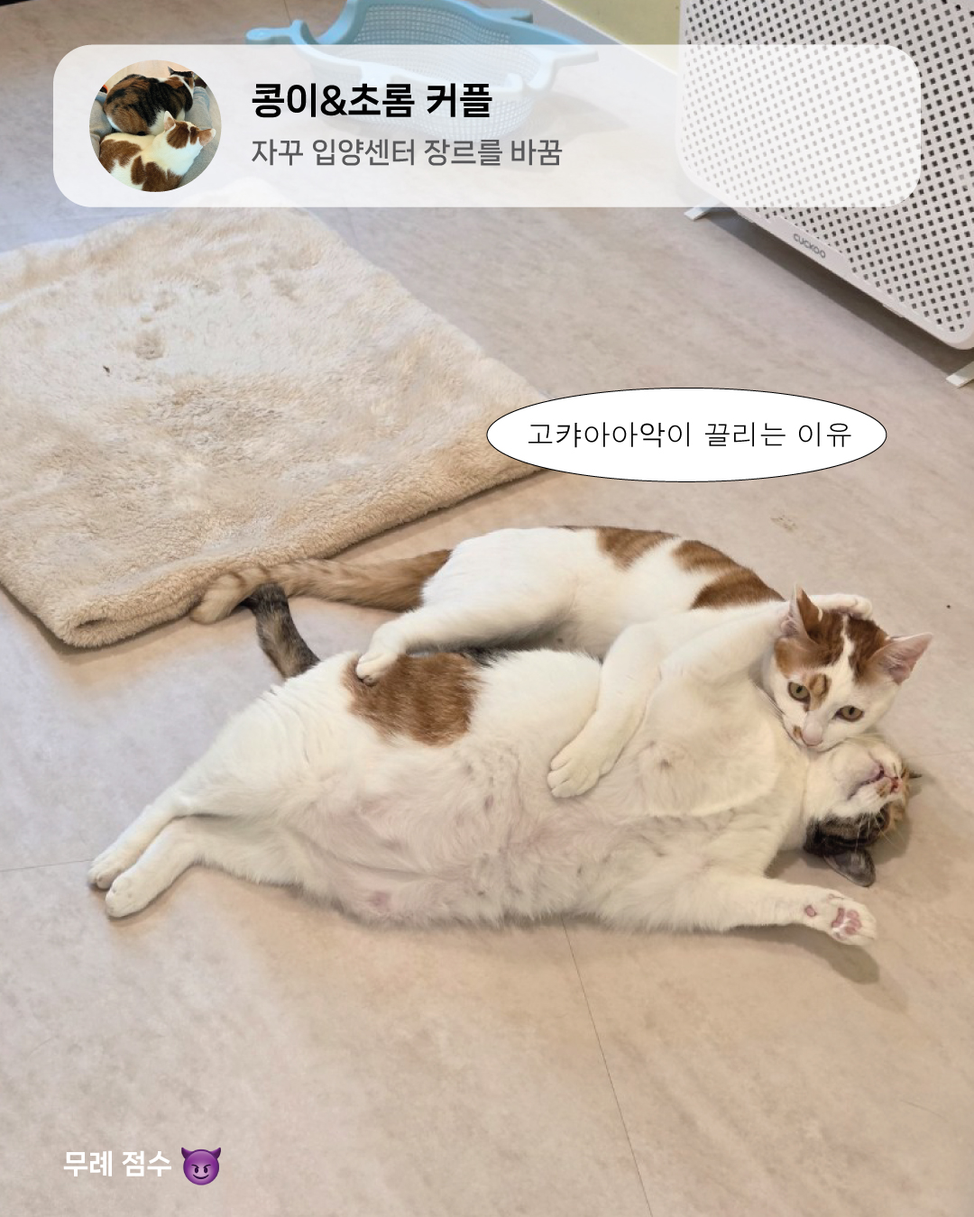 11월친절무례8.jpg