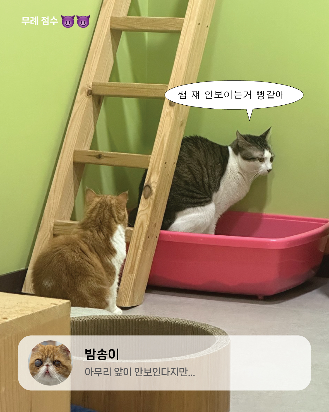 11월친절무례2.jpg