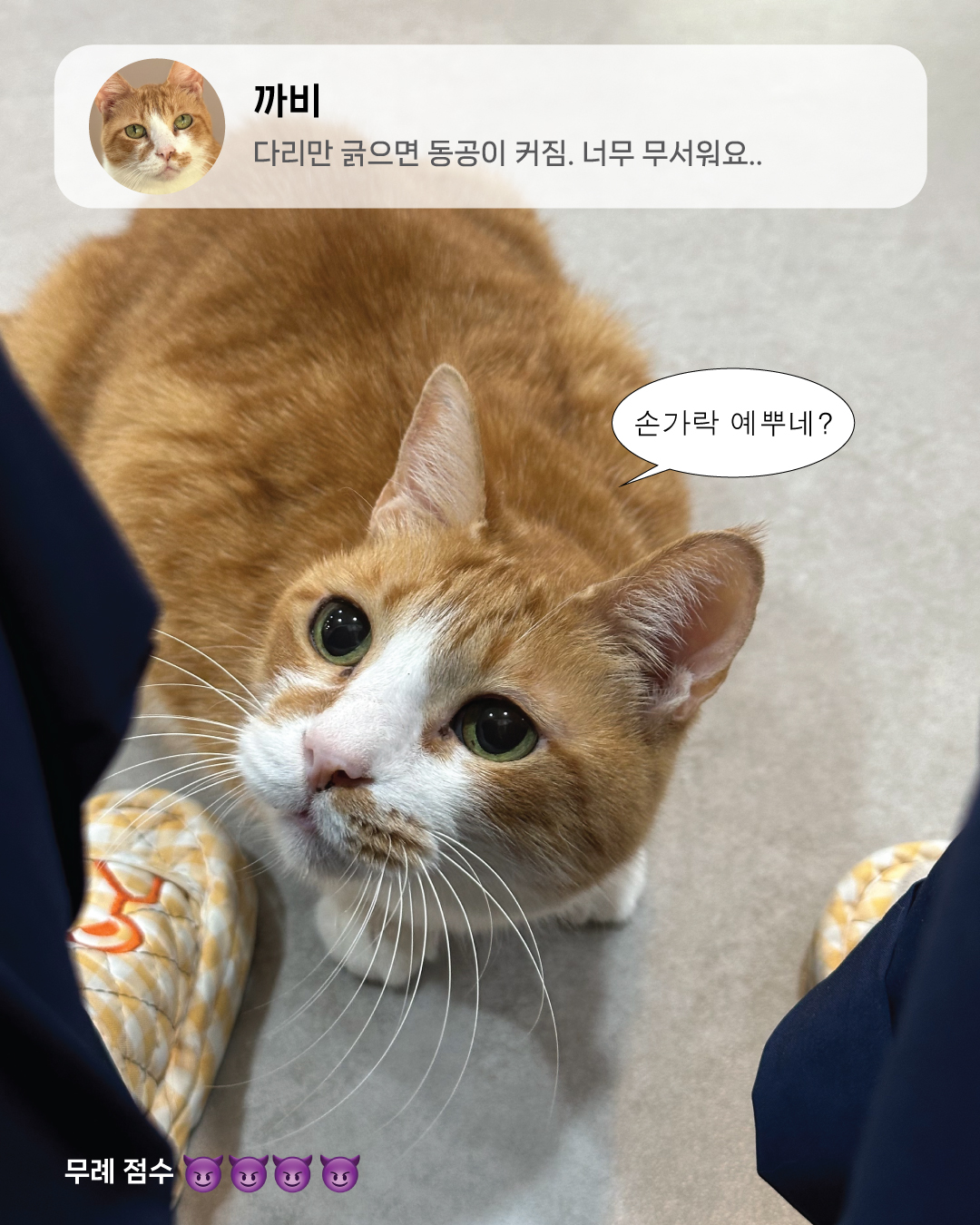 11월친절무례9.jpg