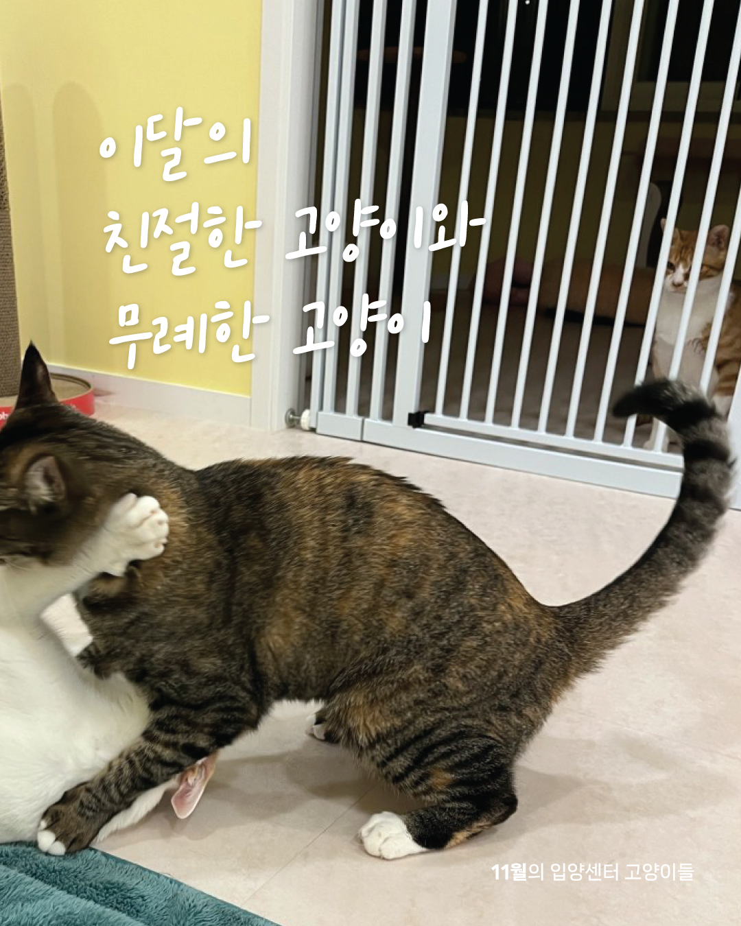 11월친절무례1.jpg