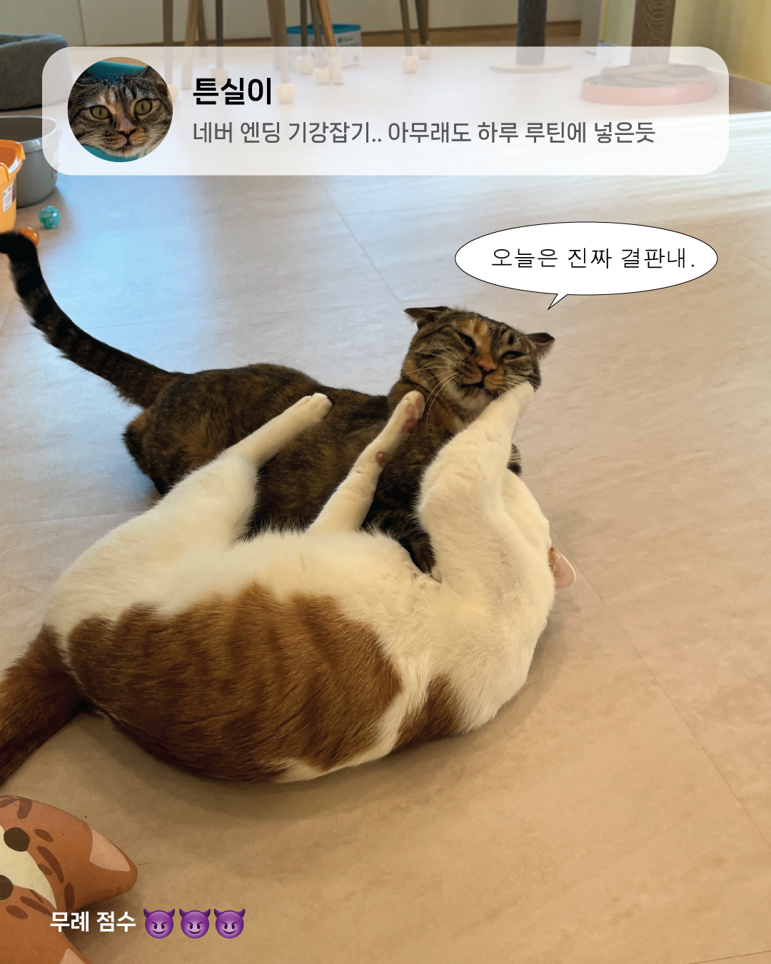 11월친절무례4.jpg