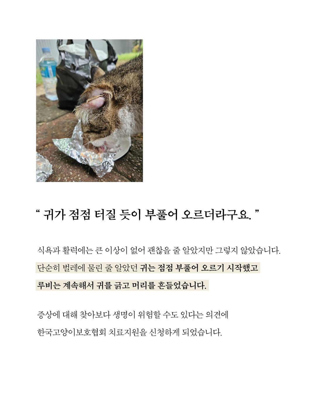 루비3.jpg