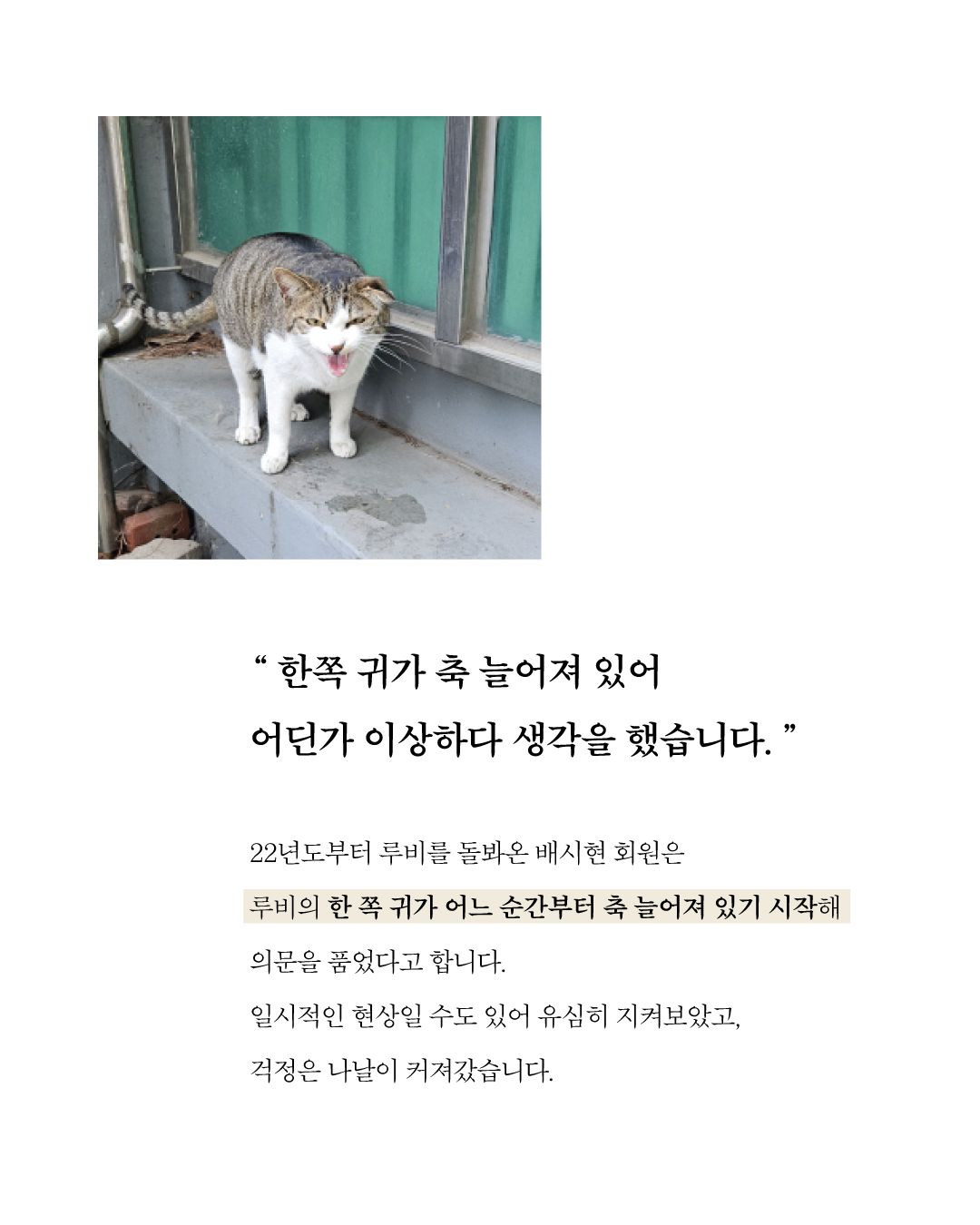 루비2.jpg