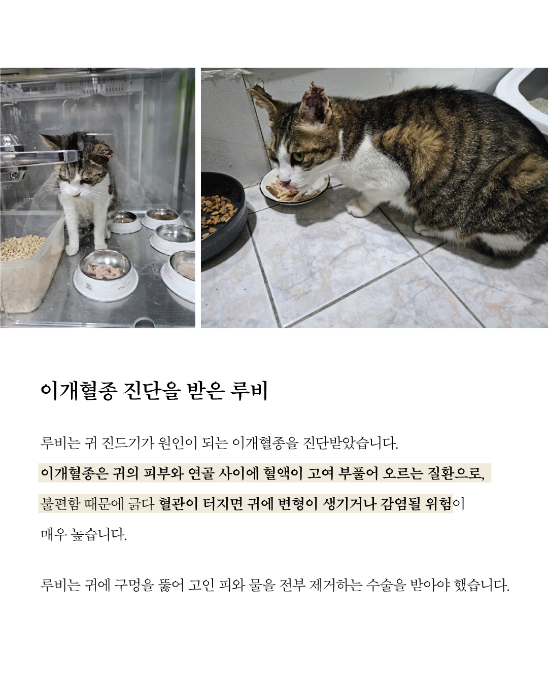 루비4.jpg