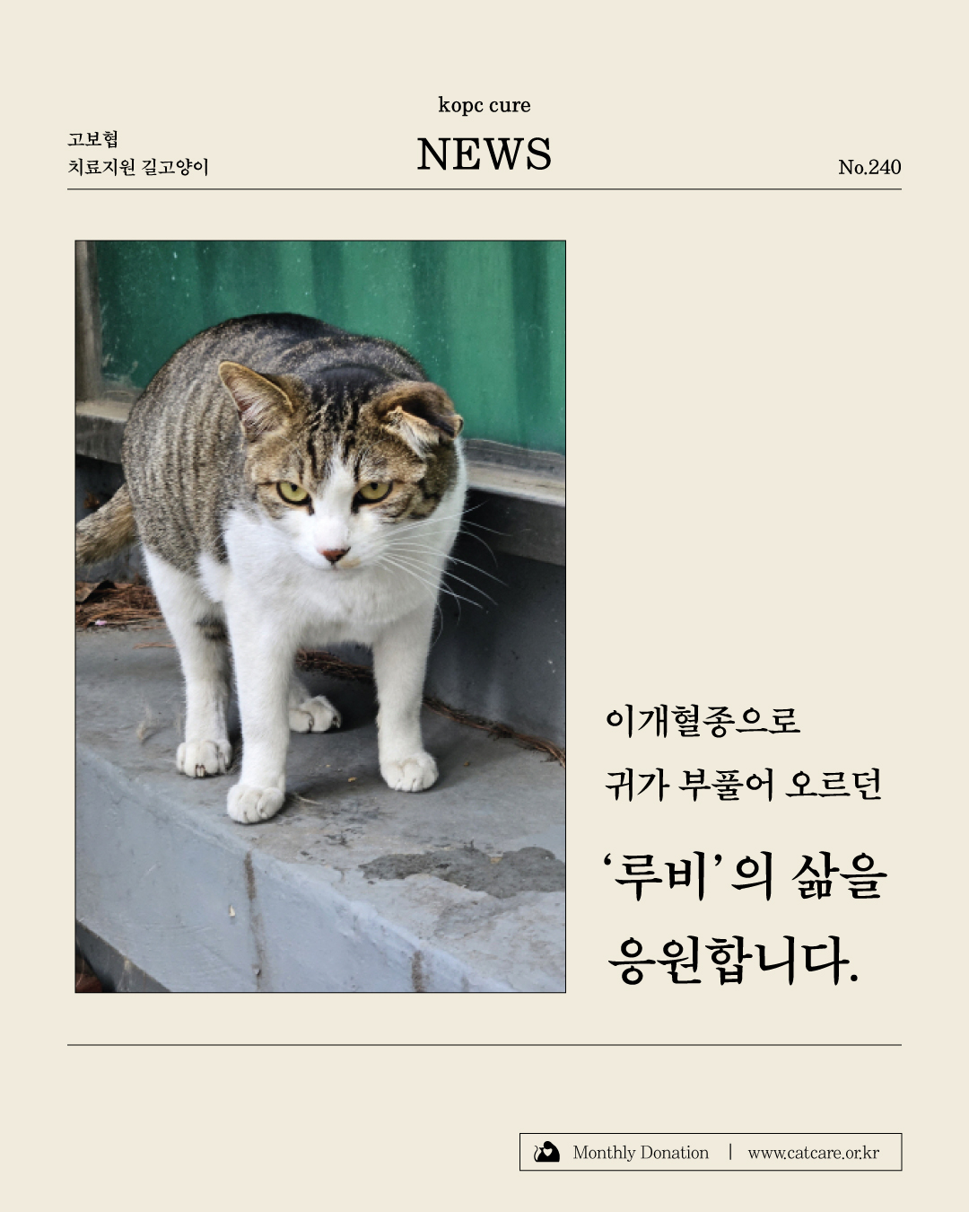 루비1.jpg