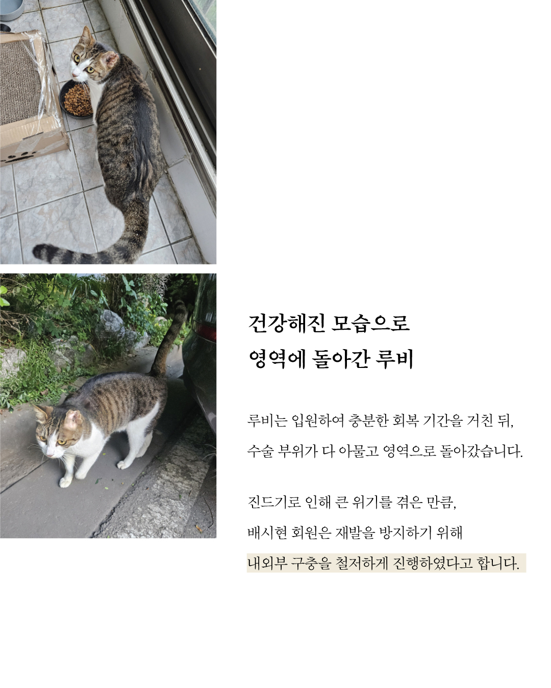 루비5.jpg
