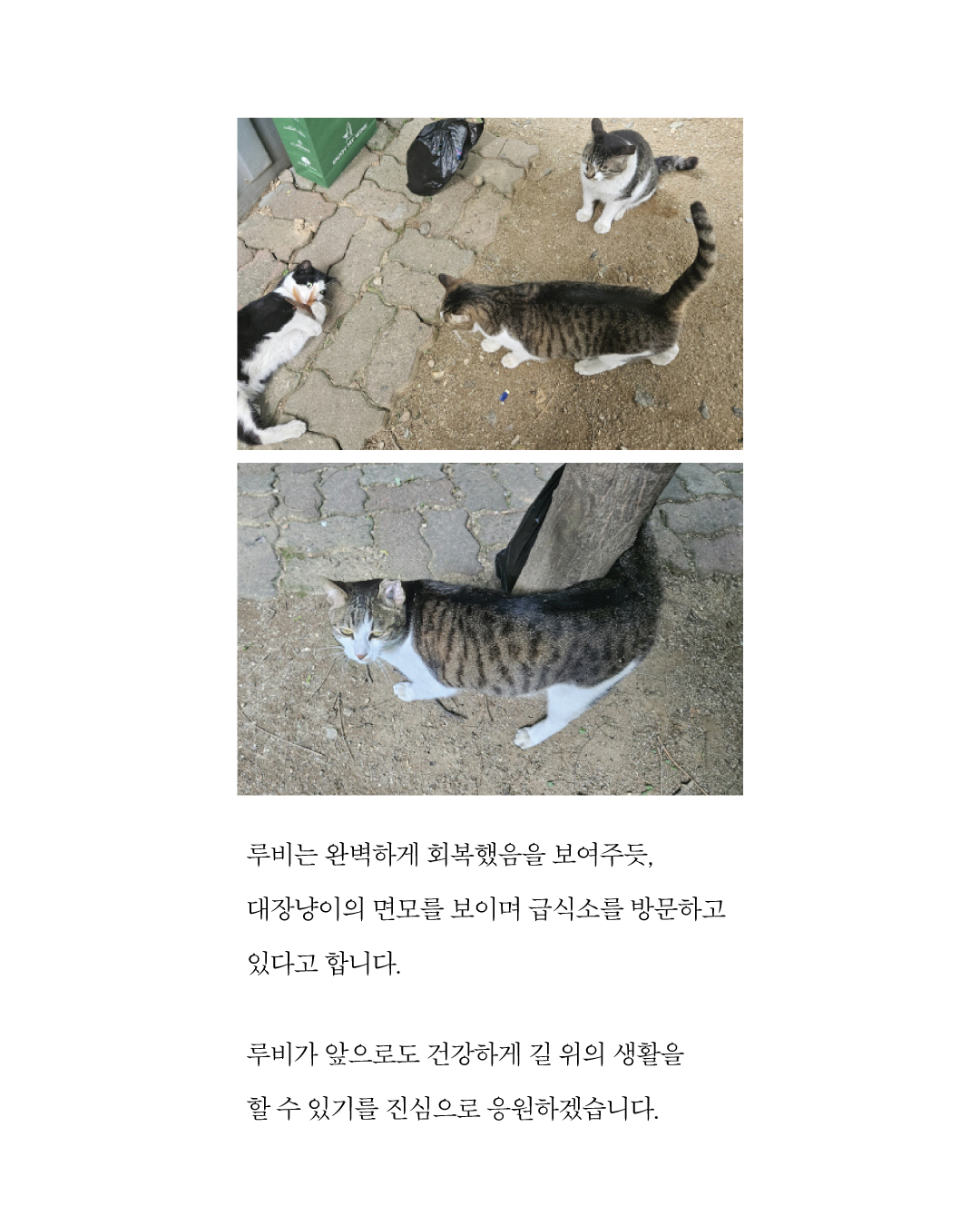 루비6.jpg