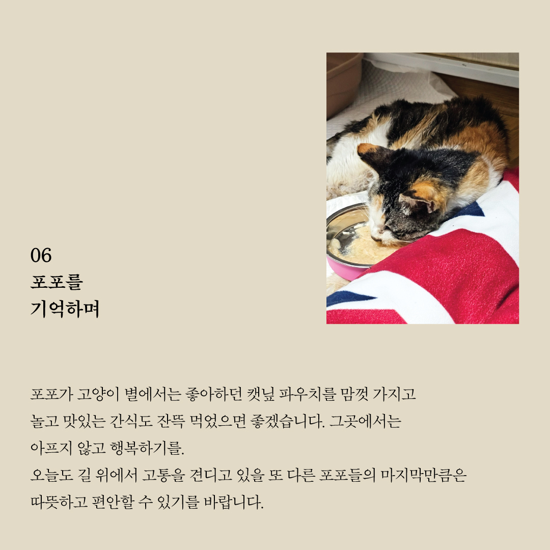 포포7.jpg