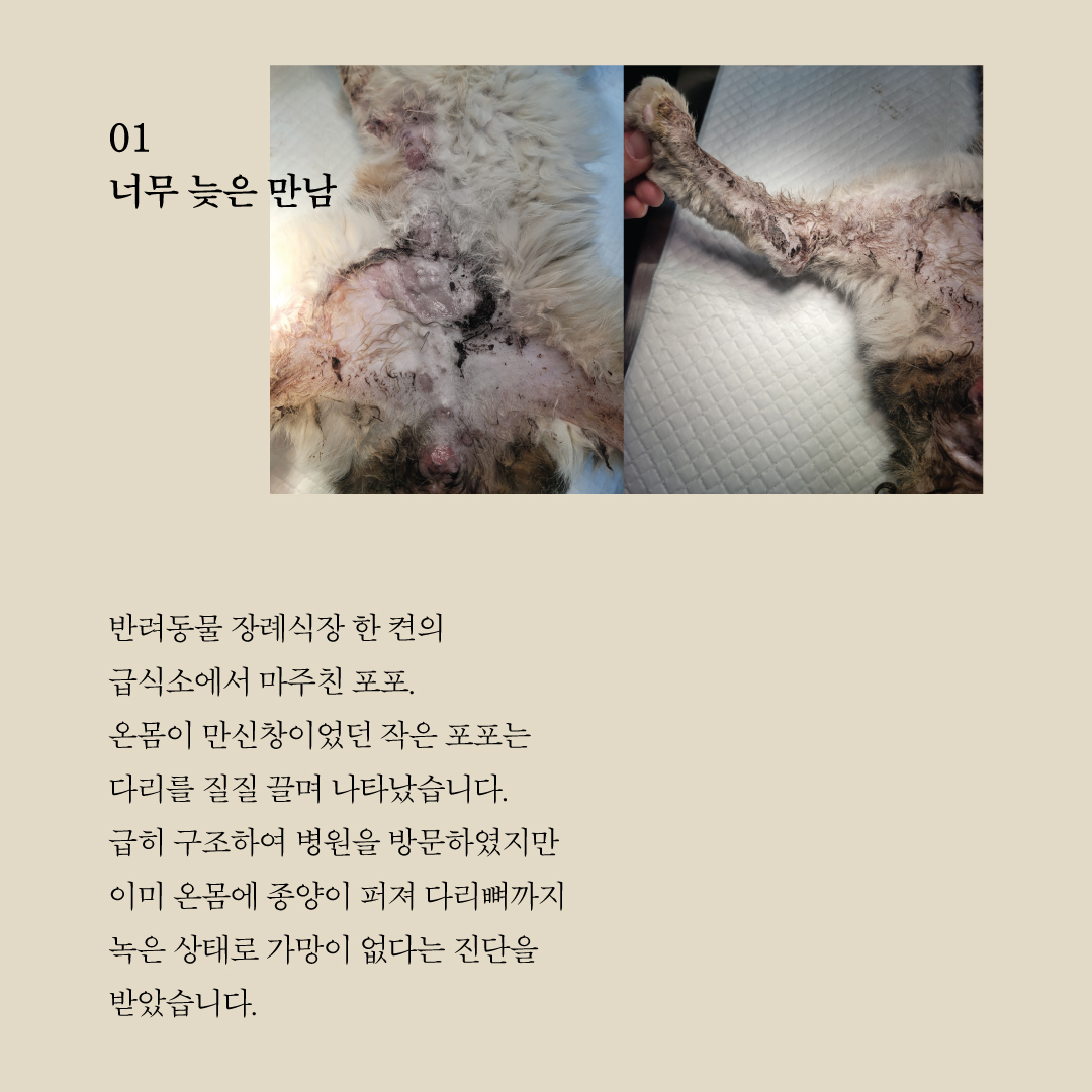 포포2.jpg