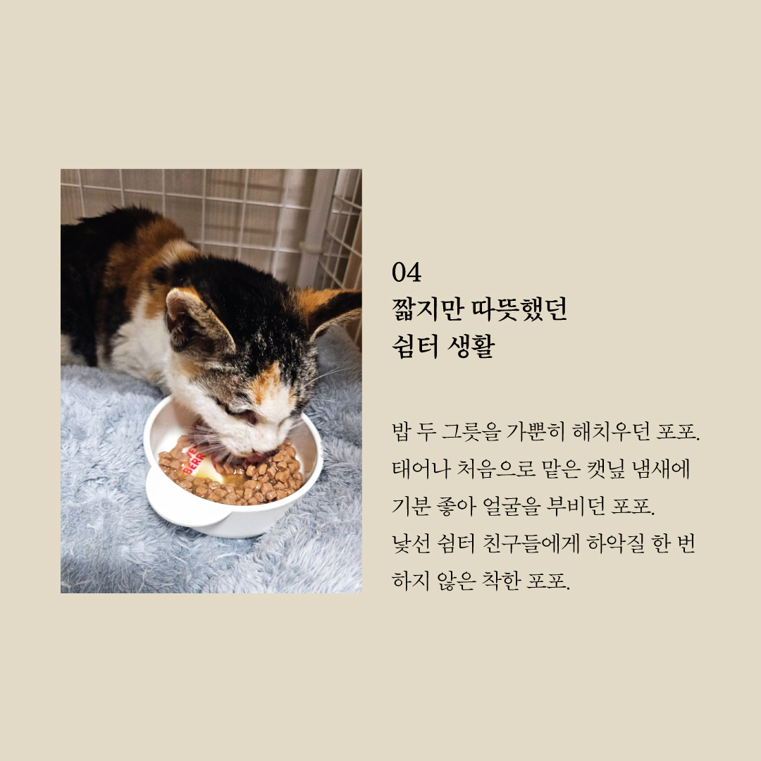 포포5.jpg