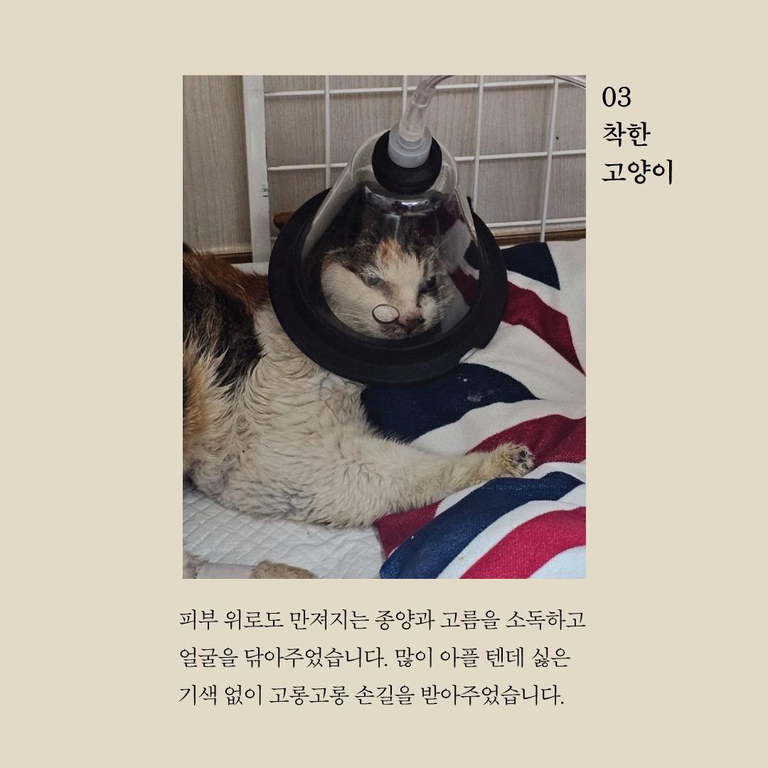 포포4.jpg
