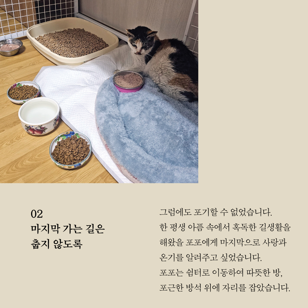 포포3.jpg