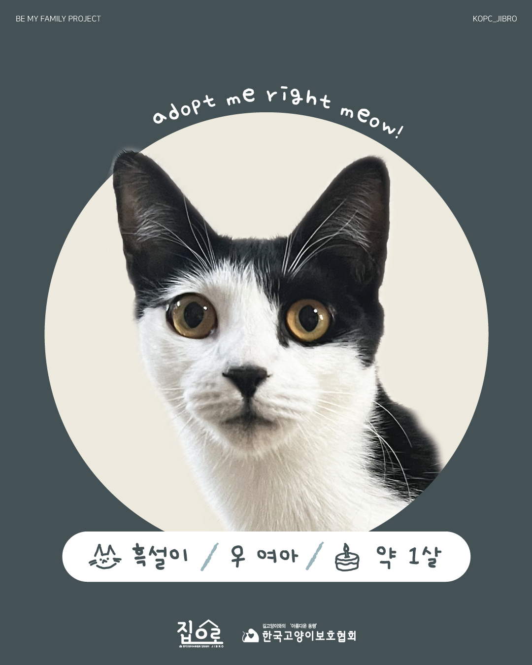 흑설1.jpg