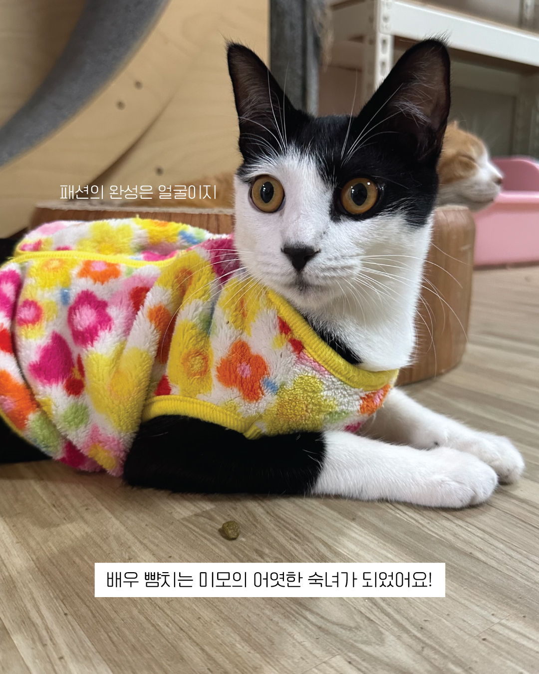 흑설7.jpg